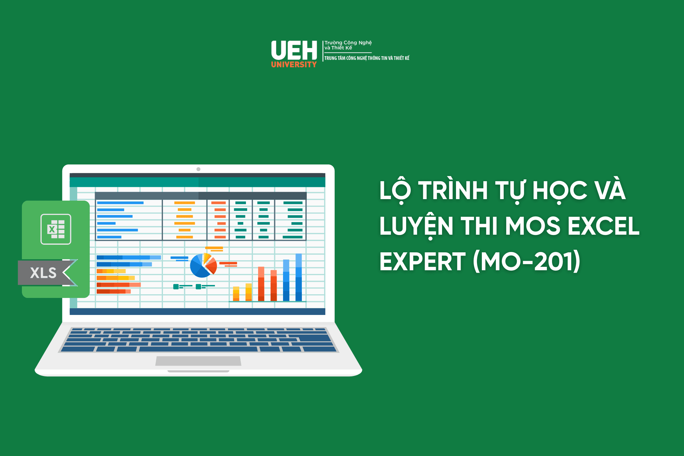 Lộ trình tự học và luyện thi MOS Excel Expert (MO-201): Cẩm nang chi tiết về các vùng kiến thức và mẹo tối ưu hóa điểm số