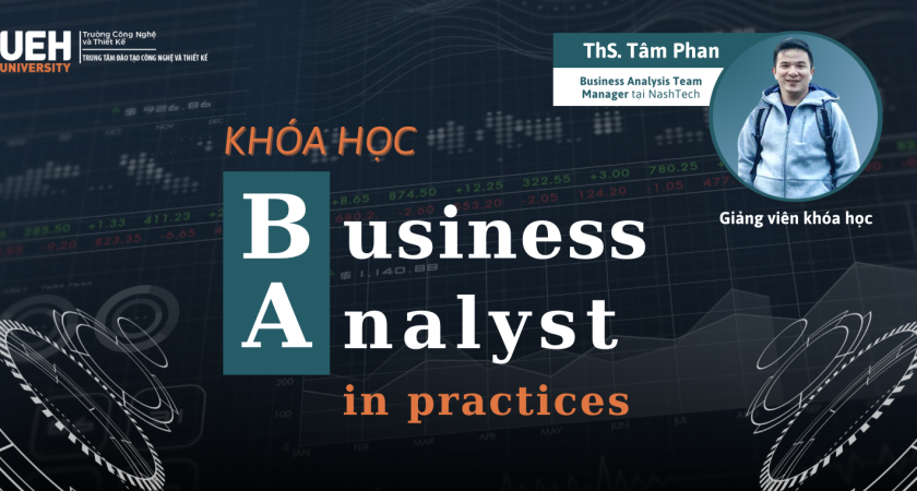 Business Analyst in Practices